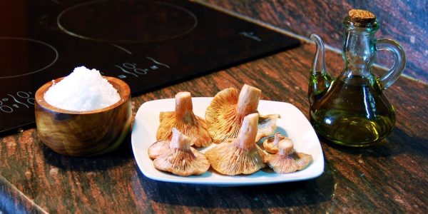 taller de cuina per dones